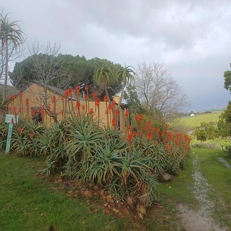 Willa Swaynekloof Farm Botrivier Zewnętrze zdjęcie