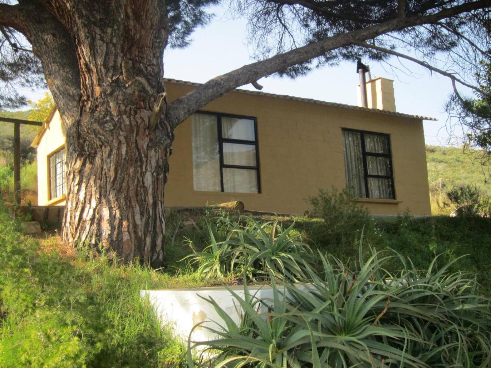 Willa Swaynekloof Farm Botrivier Pokój zdjęcie