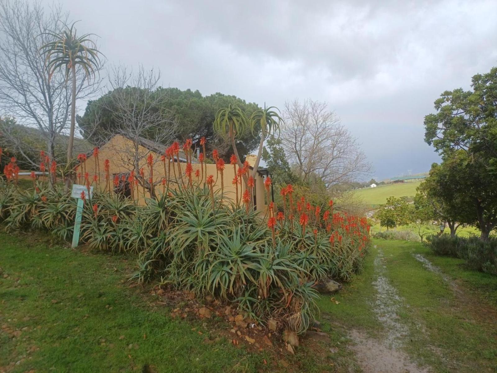 Willa Swaynekloof Farm Botrivier Zewnętrze zdjęcie